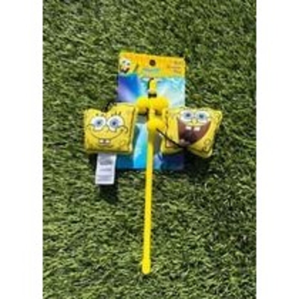 cat toy